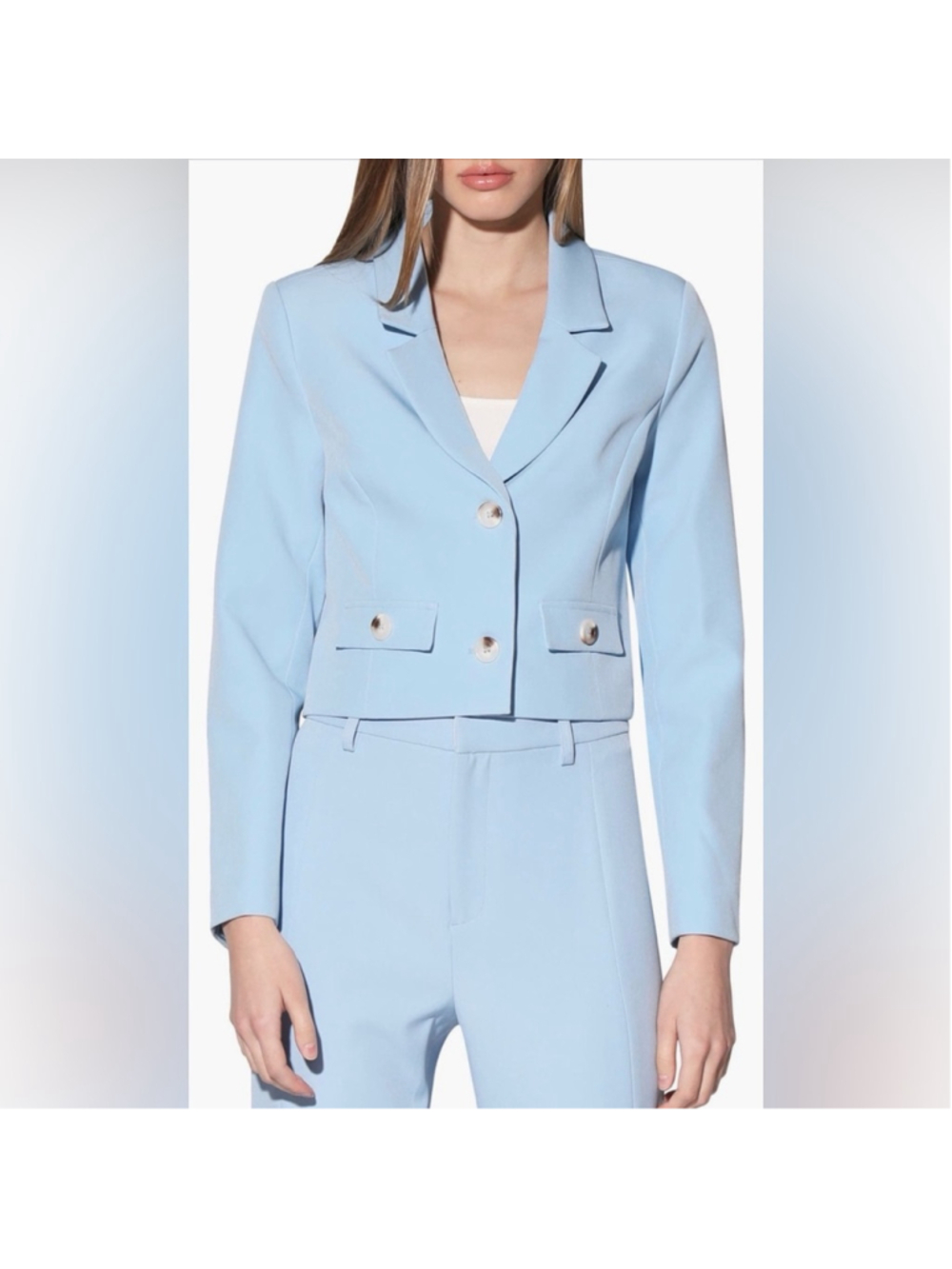 Walter Baker Joelle Suit Blazer, Baby Blue